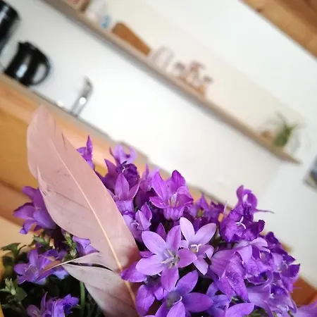 Haus Mueller Гостевой дом 3*