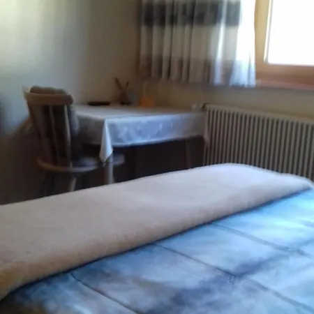 Haus Mueller Гостевой дом 3*