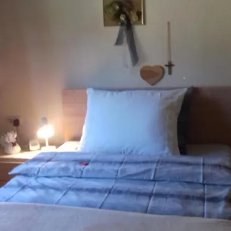 Haus Muller Guest house 3*