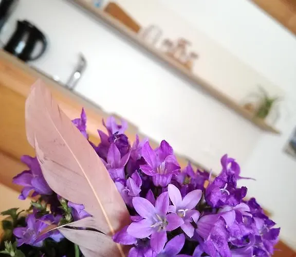 Haus Müller Gasthof 3*